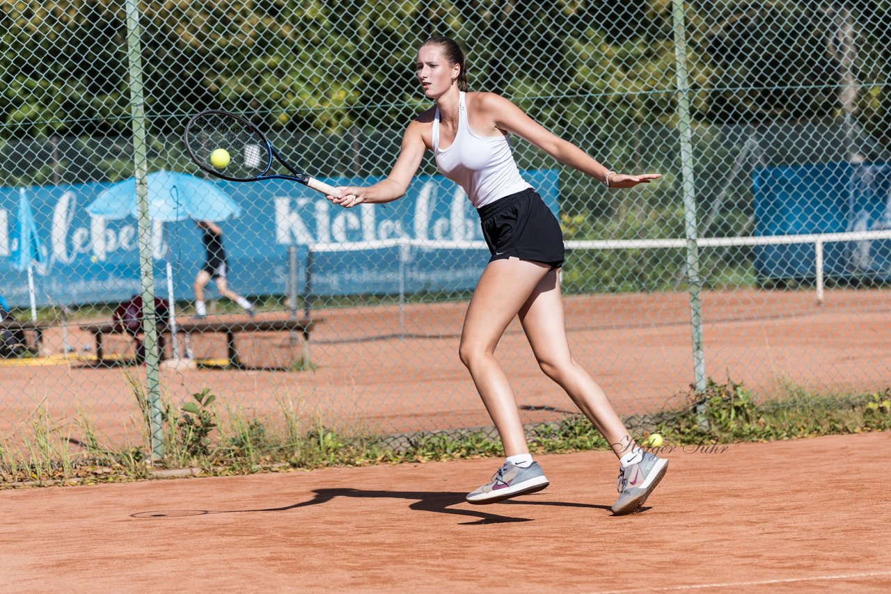 Bild 479 - dreyermedia open